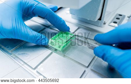Laboratory Assistant Works At Paraffin Wax Dispenser Tissue Embedding Machine.