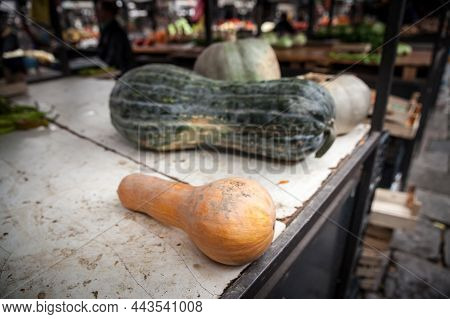 Selective Blur On An Orange Butternut Squash, With Various Sizes, Shapes, Colors And Types Of Pumpki