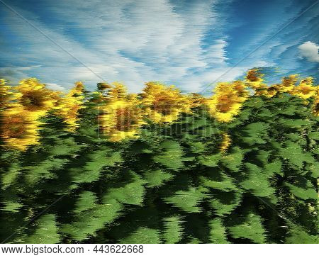 Sunflower Sunny Field With Blue Cloudy Sky On Background With Pixel Sorting Glitch Modern Effect.