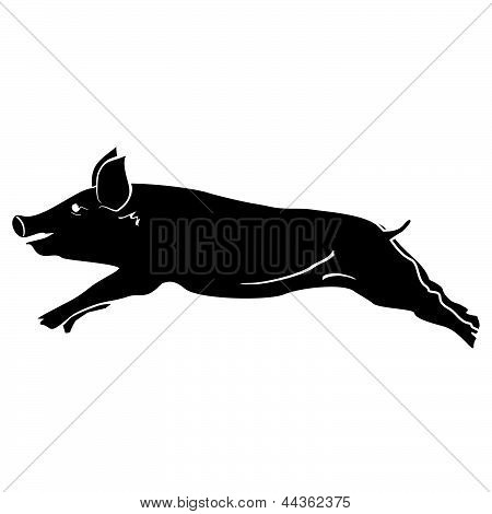 Vector de cerdo.