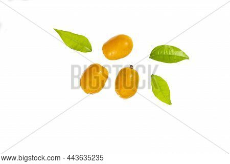 Delicious Tropical Berry Spondias Purpurea - Healthy Food