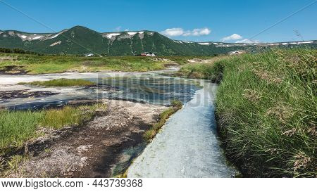 Hot Springs Are Painted In Different Shades. There Is Green Vegetation Around. At The Foot Of The Mo