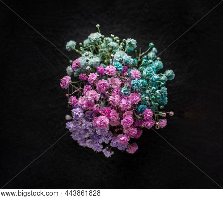 One Flower On A Black Background. Decorative Flowers.