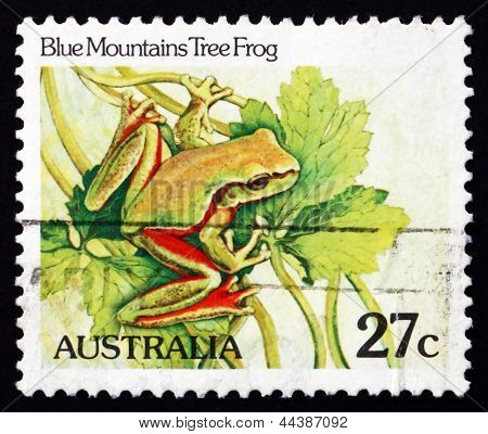 Estampilla Australia 1981 Blue Mountains Tree Frog, anfibios