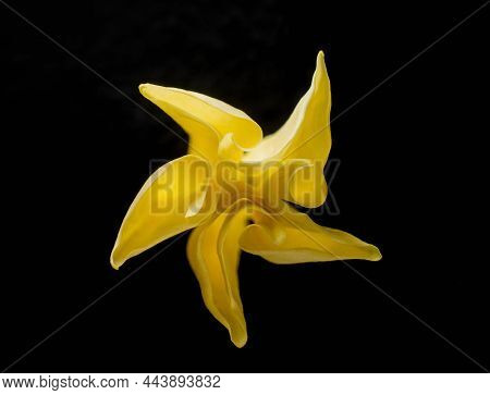 Top View Of A Flower On A Black Background. Closeup.