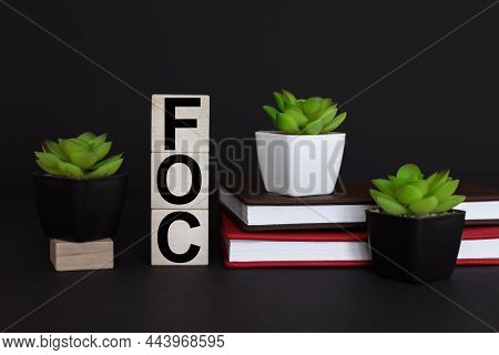Foc. Text On Wooden Cubes. On A Black Background. Red Notepad. Plant In The Pot