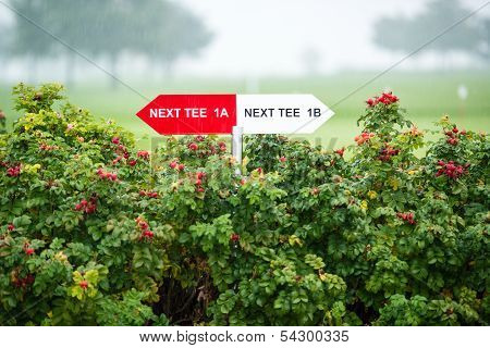 Next tee sign