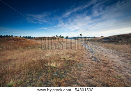 Blue Sky Over Dunes In Netherlands