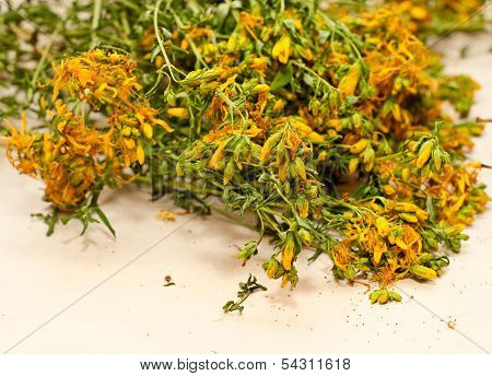 Tutsan