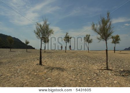 Couple Walking To The Beach
