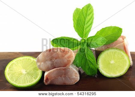 Rita Fish Of Southern Asia