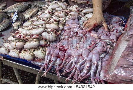 Frogs