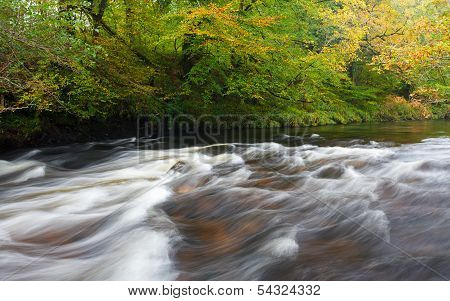 Newbridge Dartmoor Devon