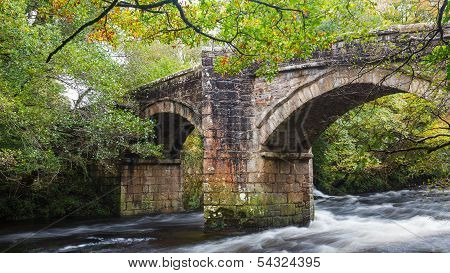 Newbridge Dartmoor Devon