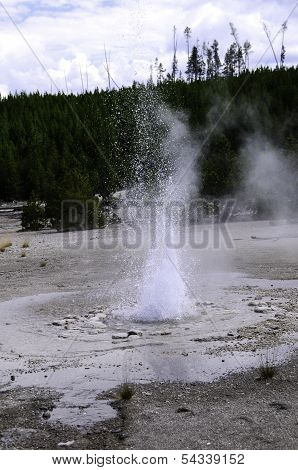 Vixen Geyser