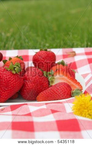 Erdbeer-Picknick