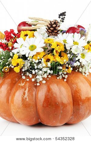 Beautiful autumn composition in pumpkin isolated on white