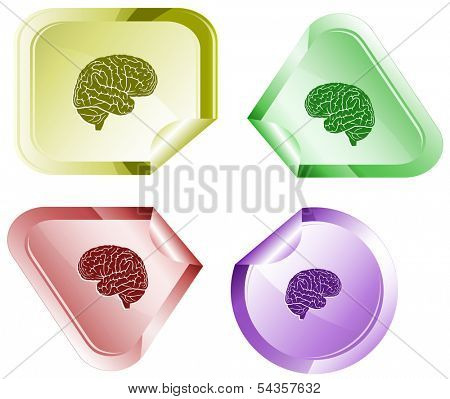 Brain. Stickers. Raster illustration. 