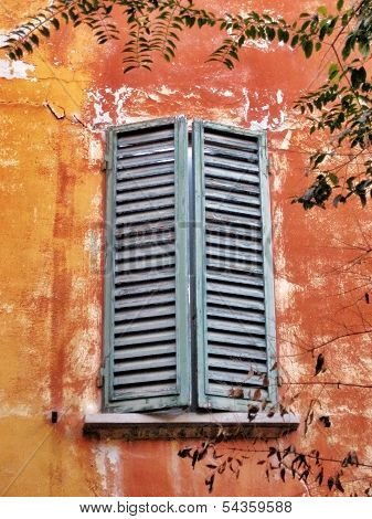 Window