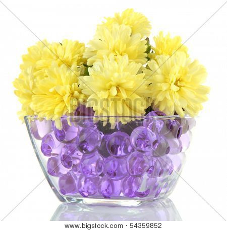 Beautiful flowers in vase with hydrogel isolated on white