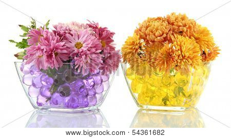 Beautiful flowers in vases with hydrogel isolated on white