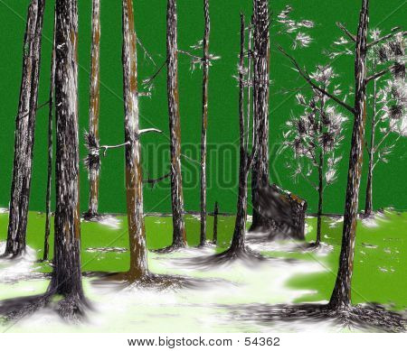 Abstract foresta