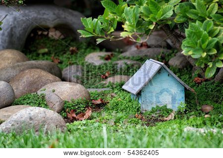 Enchanted Garden