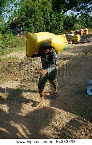Porter Carry Rice Sack