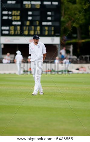 Stephen Harmison