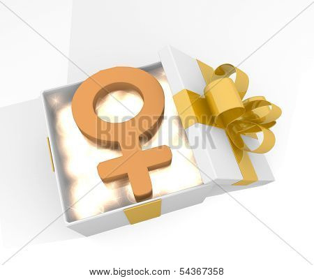 Christmas Gift Box With Woman Symnol