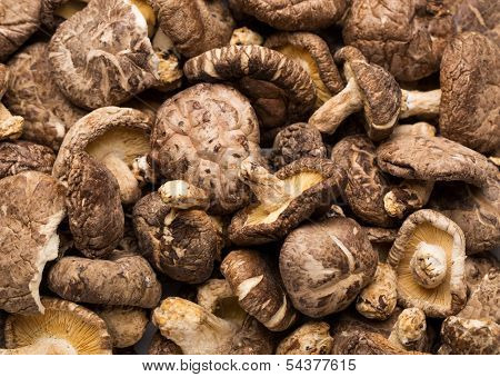 Dried mushrooms