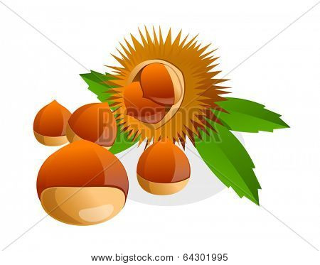 vector icon chestnut