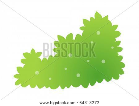 icon bush