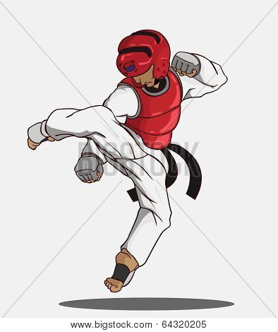 taekwondo martial art