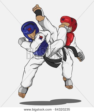 taekwondo martial art