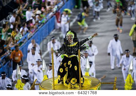 Carnival 2014 - Rio de Janeiro