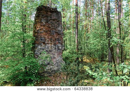 Remnants Of Old And Destroyed Buildings In Forest