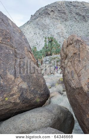 Hiking in Joshua Tree
