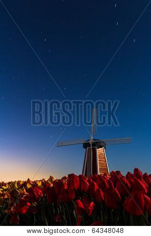 Windmill And Tulips With The Night Sky