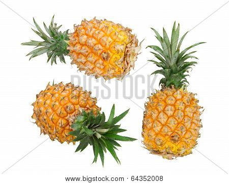 Pineapple