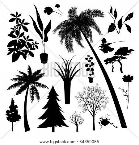 Set of silhouette of Different type  of trees and plant 