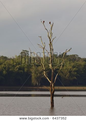 Kabini-Fluss