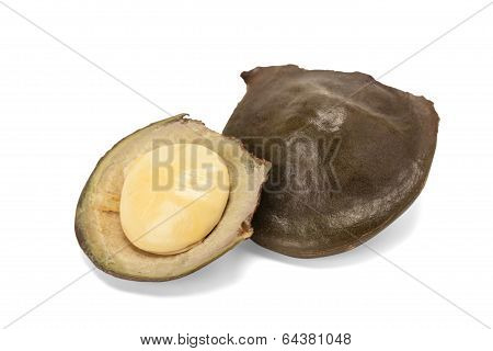 Archidendron Jiringa Seeds