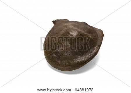 Archidendron Jiringa Seeds