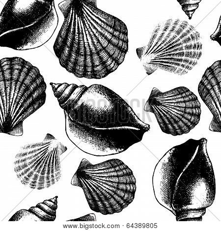Hand drawn seamless pattern with sea shell