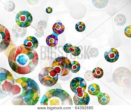 Cell Division