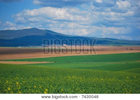 Panorama di allevamento