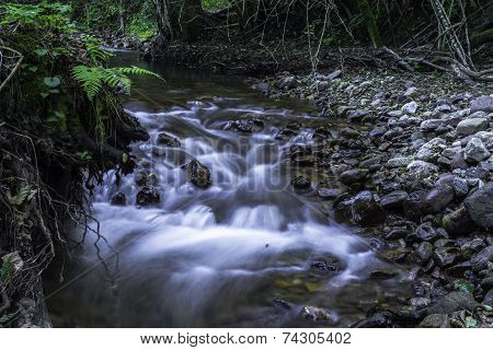 Upstream view