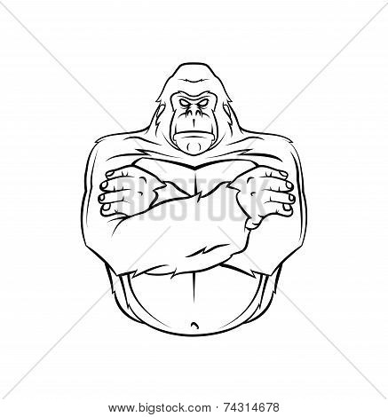 Gorilla Warrior vector illustration