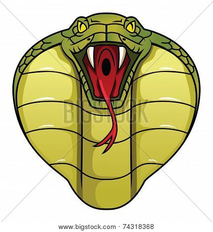 cobra
